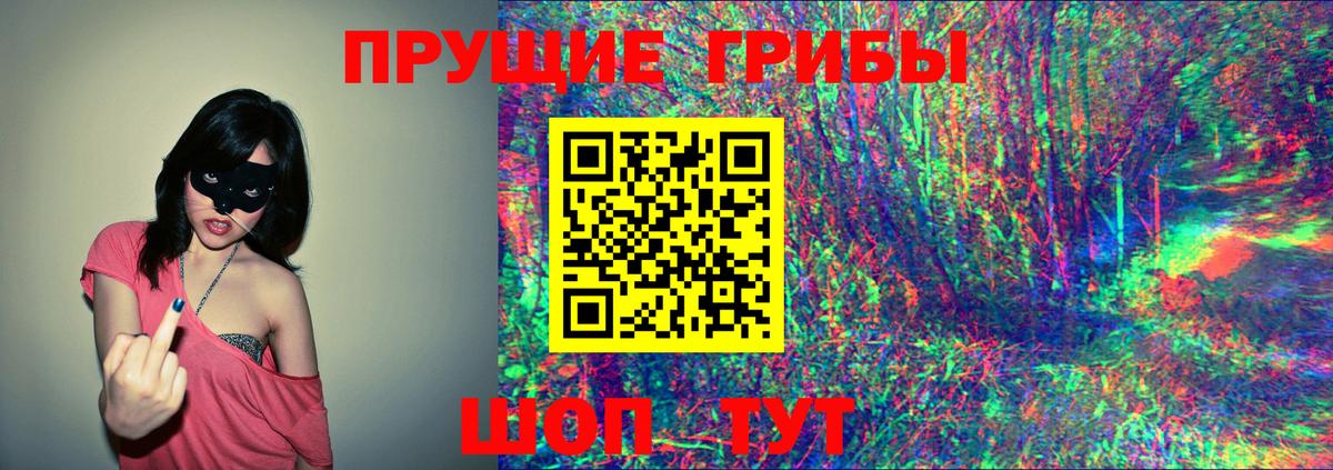 Псилоцибиновые грибы Psilocybe Благовещенск