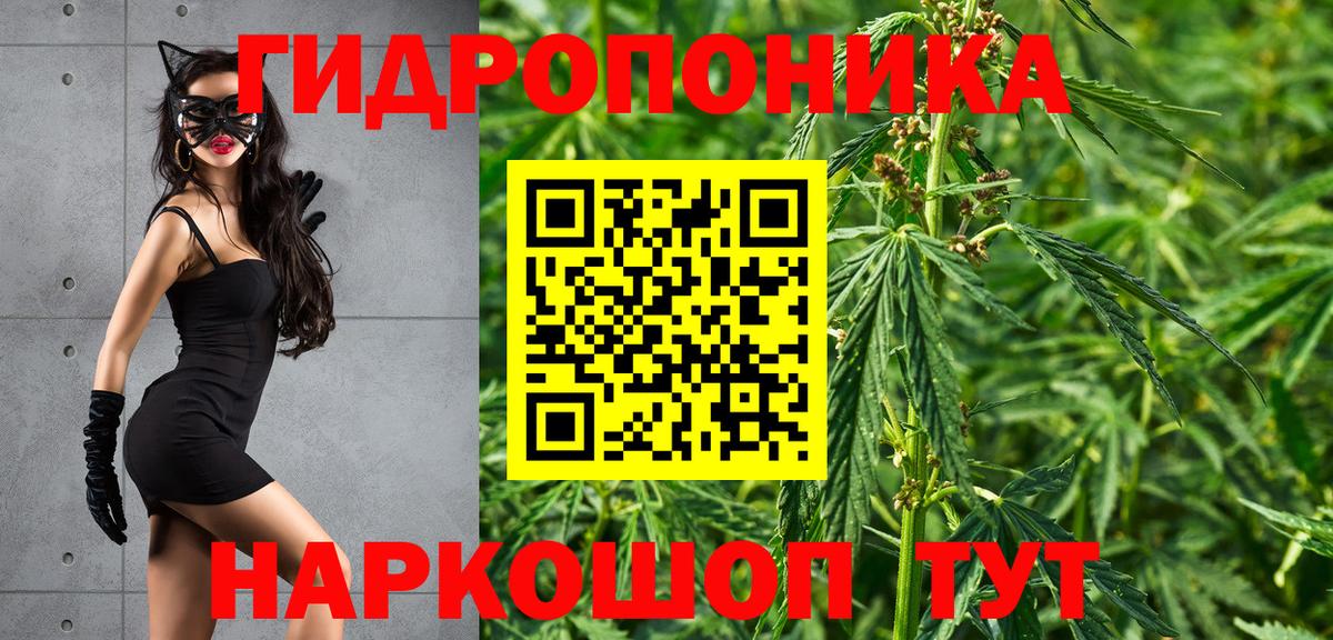 Бошки марихуана семена  Каннабис марихуана  Бошки Шишки сатива  Вход с VPN  Благовещенск 